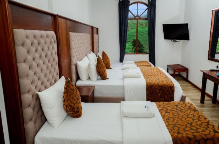 Hotel Silver Falls - Nuwara Eliya Zewnętrze zdjęcie